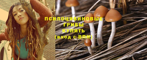 каннабис Каменногорск