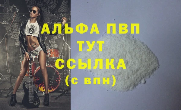 прущие грибы Каменск-Шахтинский