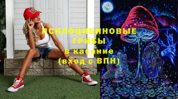 таблы Каменка