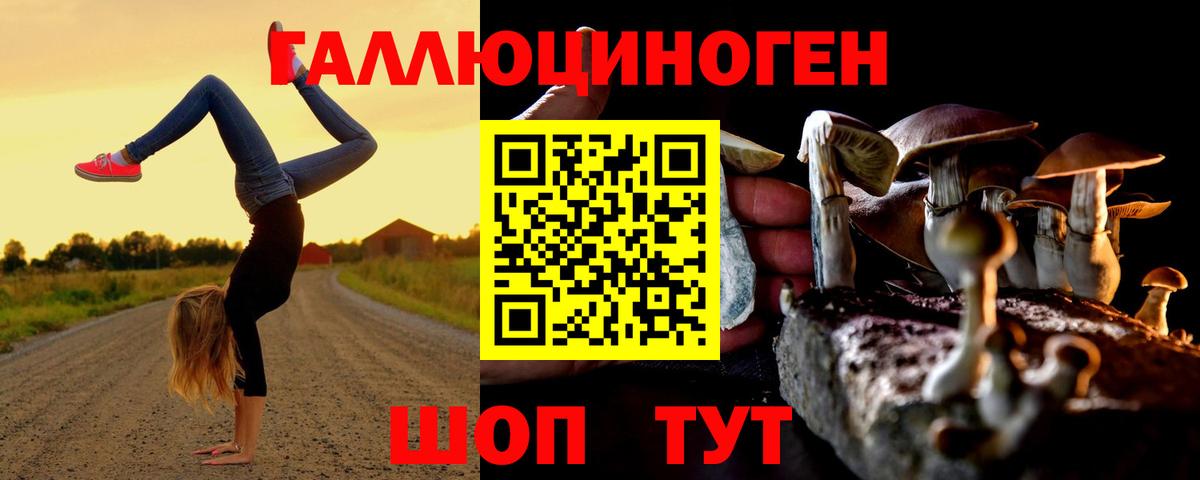 Галлюциногенные грибы MAGIC MUSHROOMS  Галлюциногенные грибы MAGIC MUSHROOMS  Вход с VPN  Златоуст 