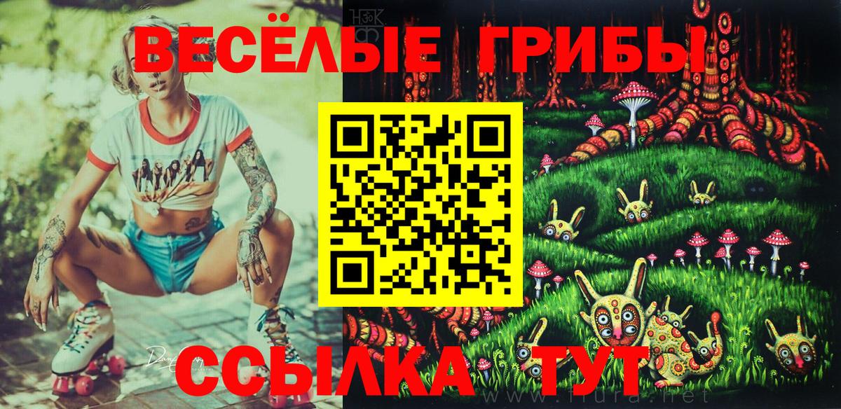 Псилоцибиновые грибы мицелий Златоуст