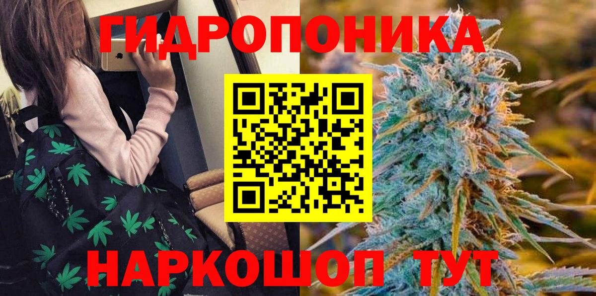 Бошки Шишки конопля  Шишки марихуана OG Kush  Марихуана план  Вход с VPN  Златоуст 